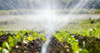 Vantagens da irrigação com mangueira de gotejamento